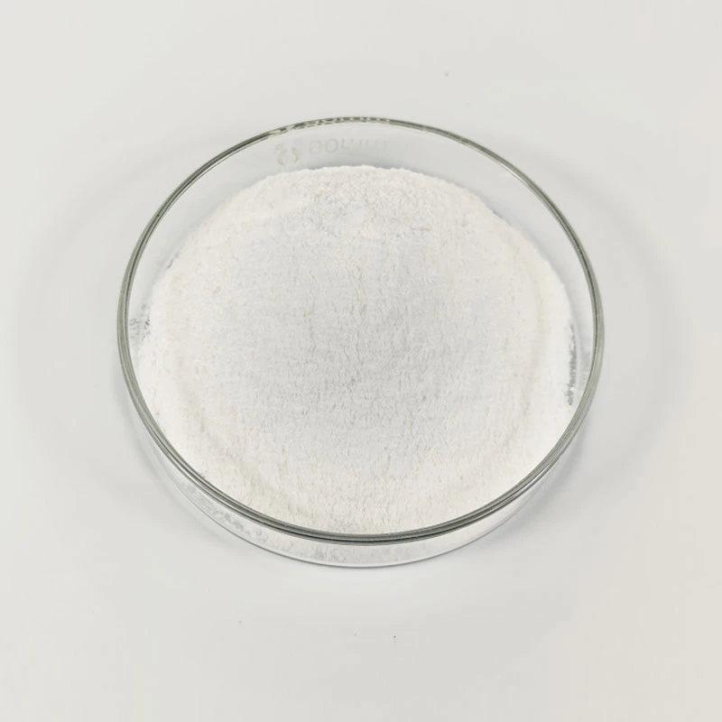 Factory Supply Pharmaceutical Intermediate Antiparasitic Agents 99% Purity CAS 551-92-8 Dimetridazole Powder