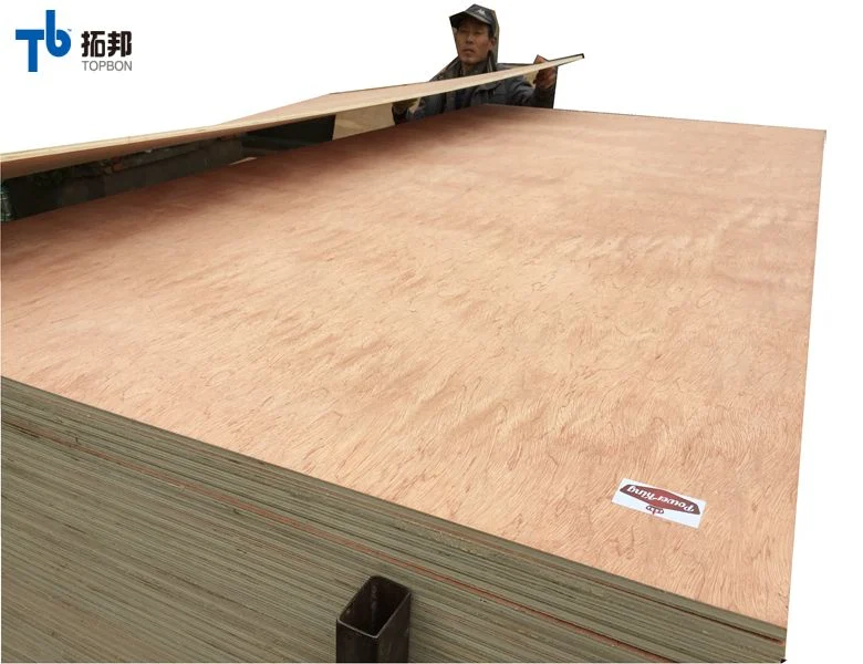 First Grade Commercial Plywood Veneer Hardwood/Poplar/Birch Film Faced Plywood