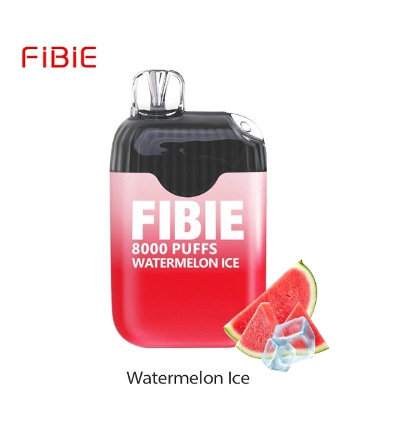 2023 Popular Fibie Disposable/Chargeable Vape Pen Mesh Coil Vaporizer vape Wape 4000 7000 8000 10000puff Empty Vapor Atomizer Vaporizer 8000 Puffs Rechargeable Vape