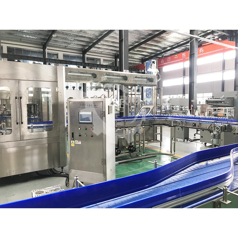 Reverse Osmosis Pure Water Production Bottle Water Filling Machines