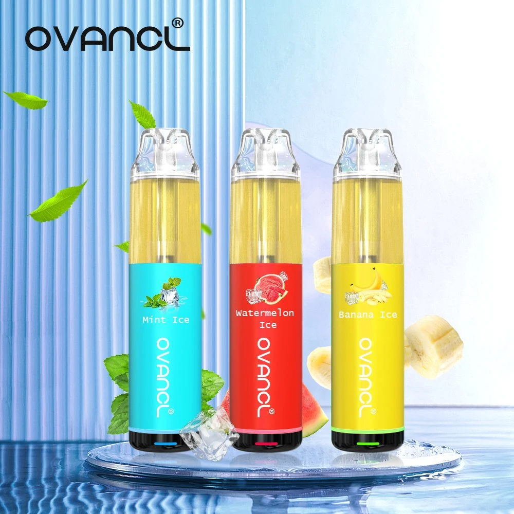 Newest 5000 inhalations E cigarette Air-Adjustable Vape stylo rechargeable saveurs de la bobine de maillage Nice Vape d'huile stylo jetable Stick