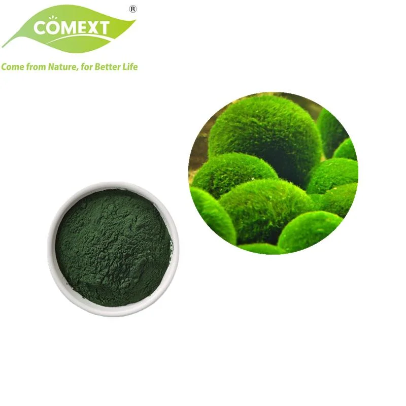 Comext Hot Selling Lower Blood Fat Nutritional Supplement Chlorella Vulgaris Powder Chlorella