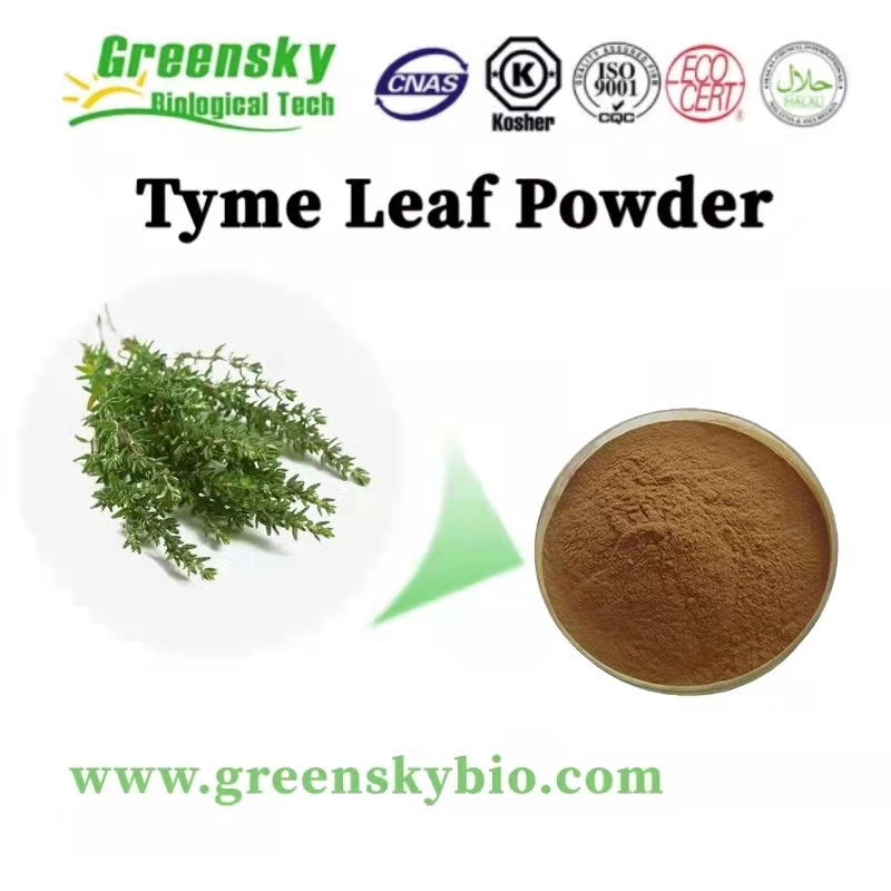 Thyme Leaf Extract Feed Antioxidant Supplement for Animals Low Price Pure Natural Plant High Quality Plant Extract Herbal Extract