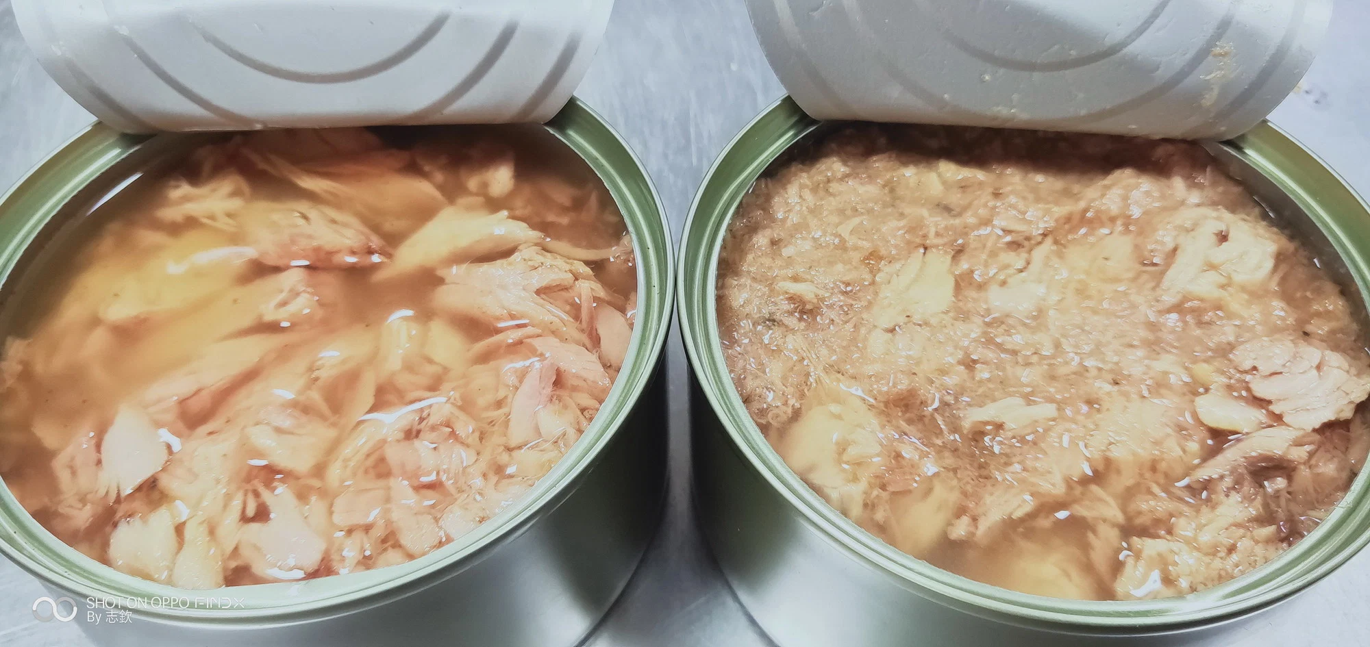 Hot Selling Seafood Canned Tuna Chunk in Oil/Brine