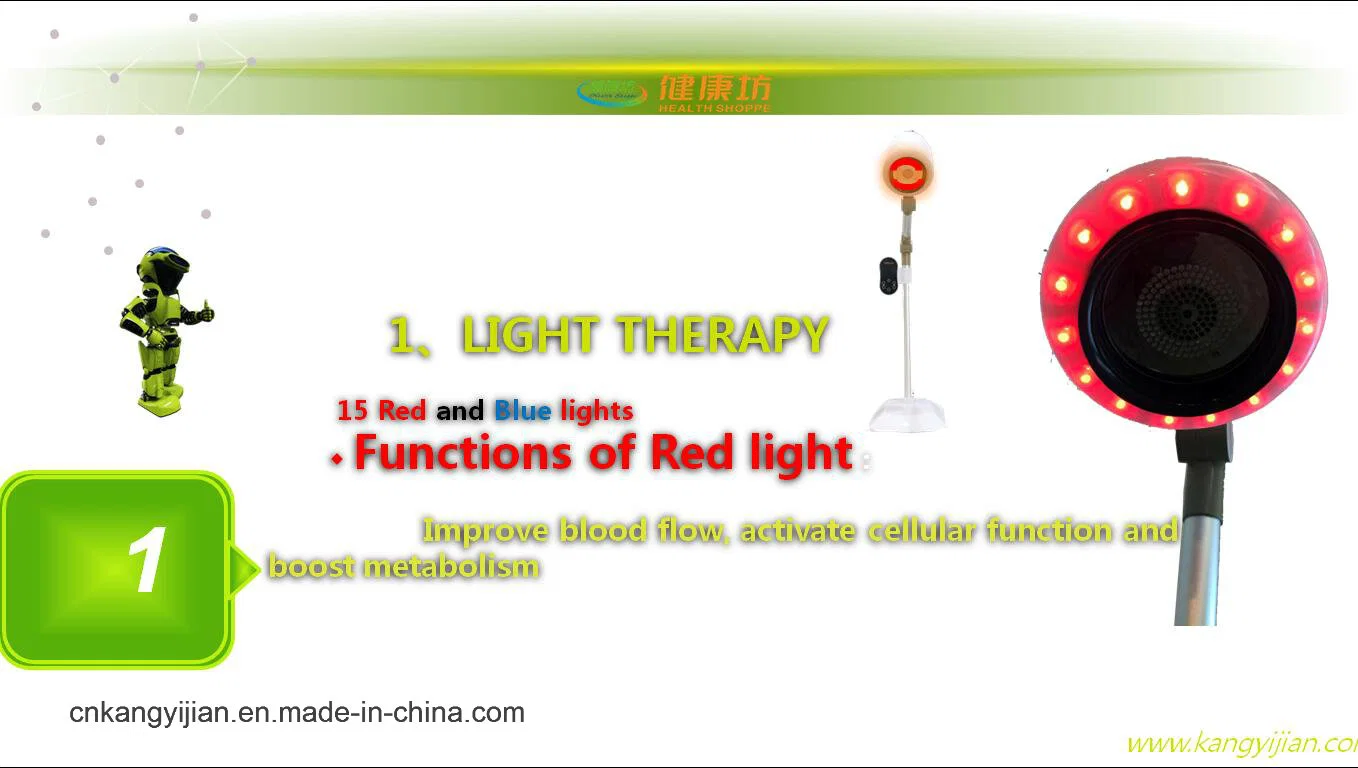 Multifunctional Moxa Electric with Health Care Product China Supply