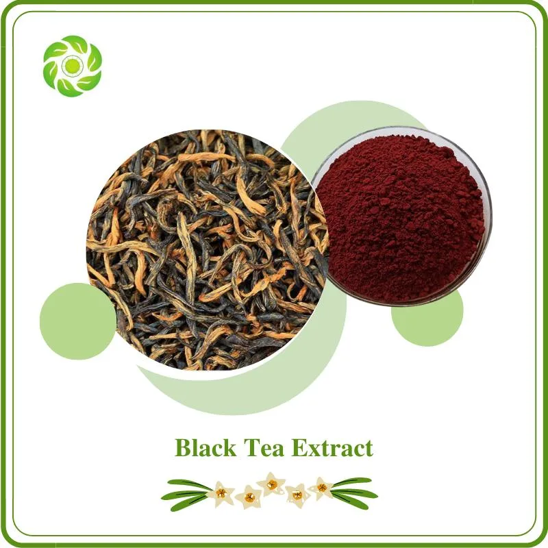 Preventing Cirrhosis Herb Natural Black Tea Extract 20% Polyphenols 10%-80% Theaflavins