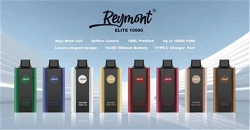 Europe Hot Selling Smart Waka Vape Reymont Elite Disposable Bar Vozol Random 10000 Puffs Vape