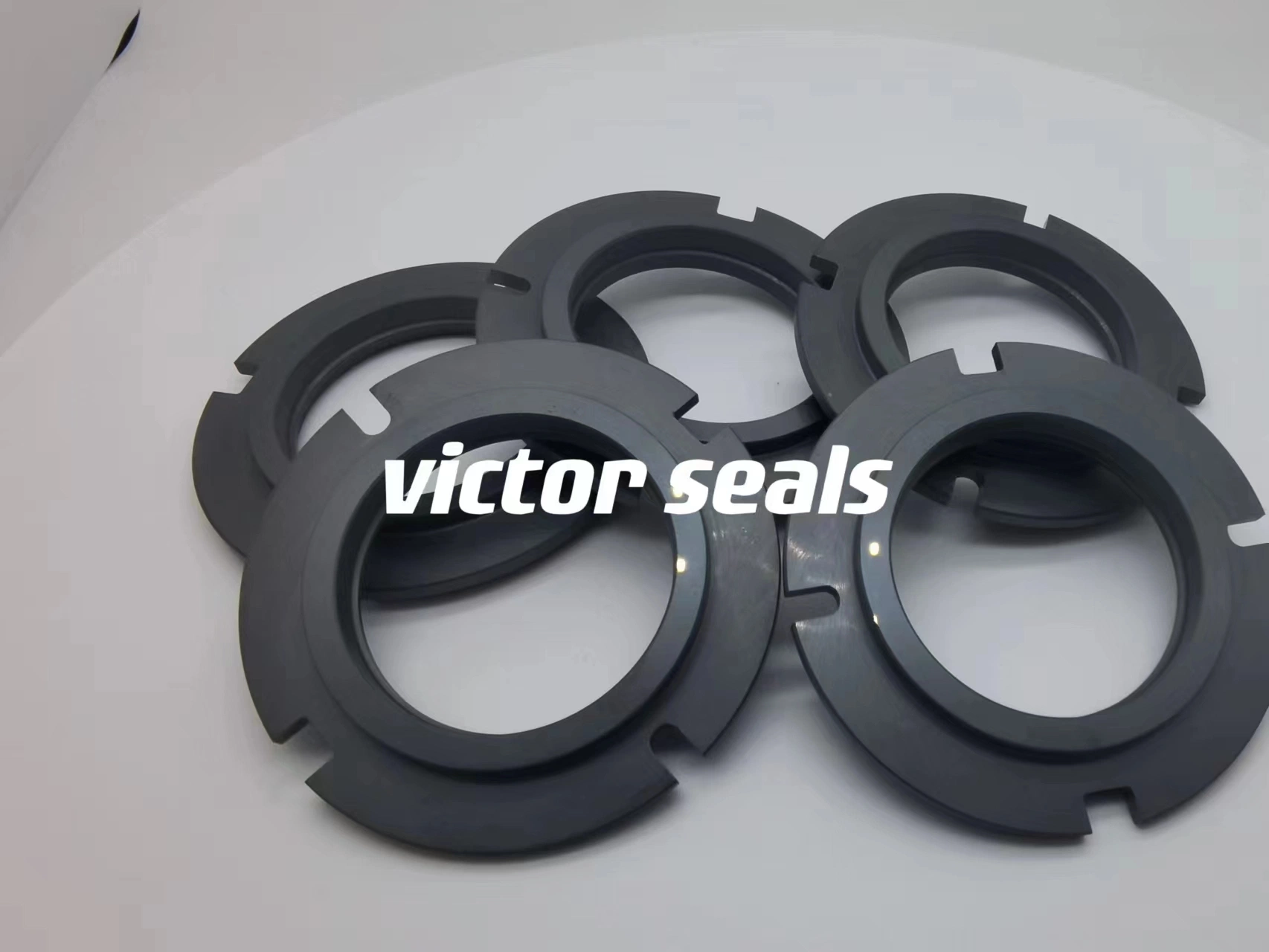 Pump Seal Ring OEM Sic Seal Ring Ssic Seal Ring Tc Seal Ring Ceramic Seal Ring Carbon Seal Ring