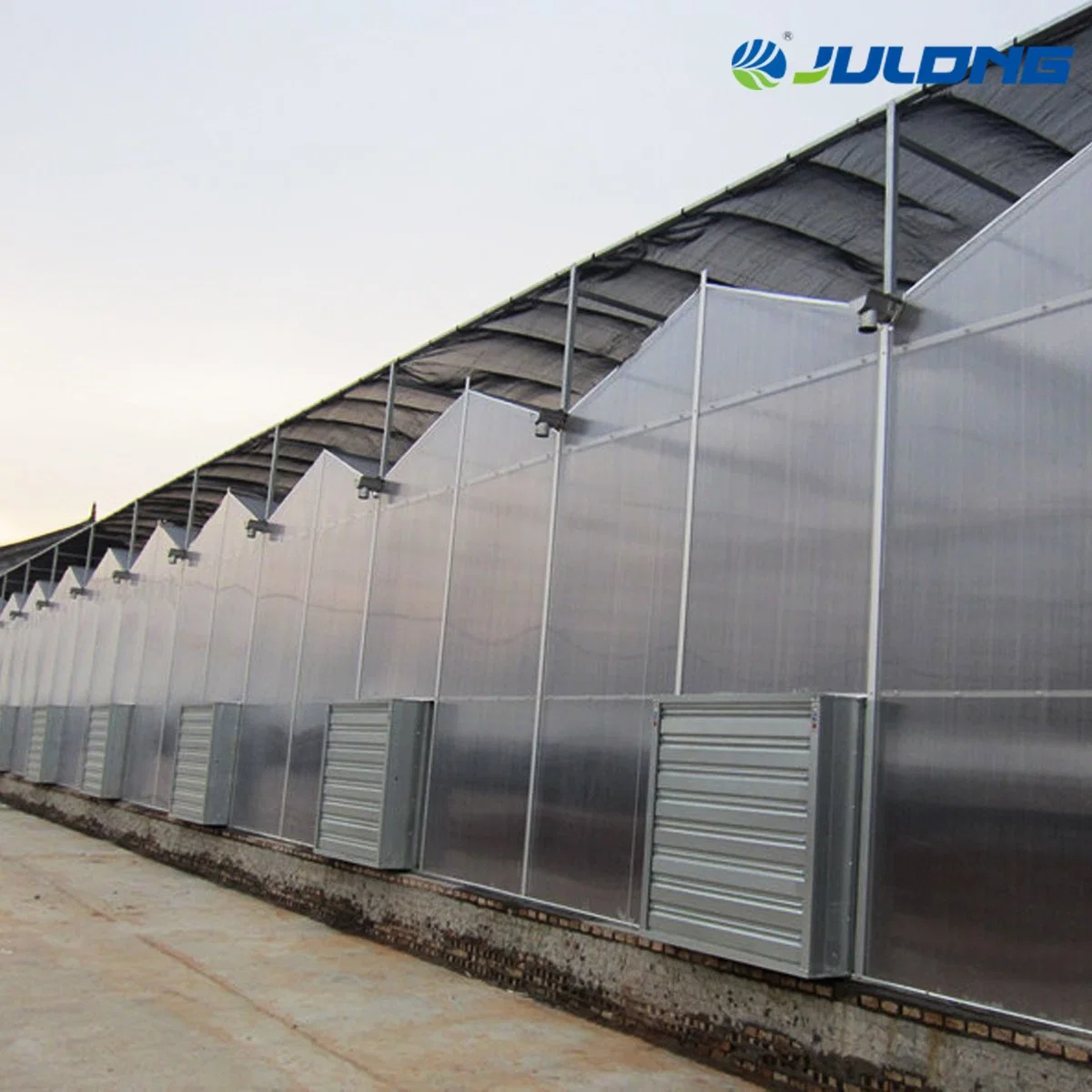 Venlo Poly Polycarbonate Sheet Greenhouse for Potato Flowers House