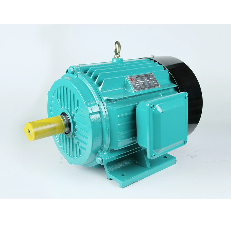 18.5 Kw IP 55 Adjustable Speed AC Electric Motor