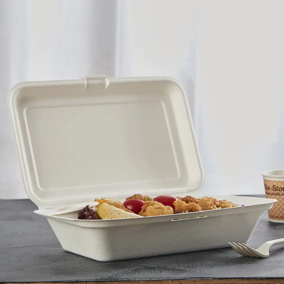 Zuckerrohr Bagasse Mitnehmen Mittagessen Bento 9" X 6" Scharnierdeckel Behälter