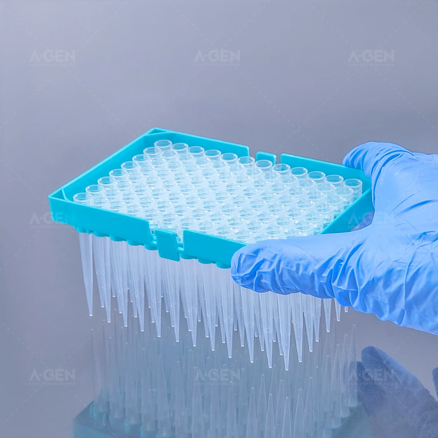 Brand H Tips 300UL Sterile Clear Low Retention PP Pipette Tip in Rack for Liquid Transfer Without Filter