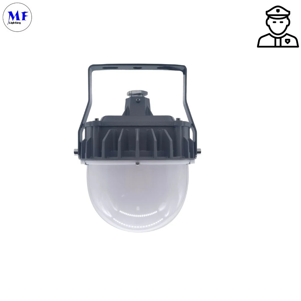 Factory Price Atex Certified High Bay Area Hanging Wall Mounted 20W 40W 60W Zone 1 Zone 2 LNG Gas Station Oil Industry Explosion Proof Light