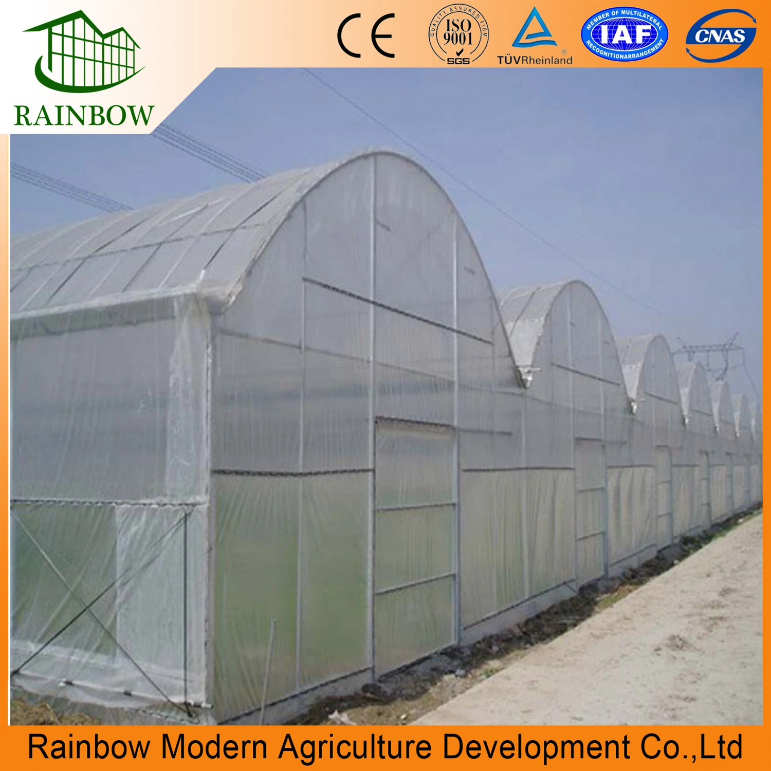 Good Quality Tempered PVC/PE Film Greenhouse for Vegetable Plantation