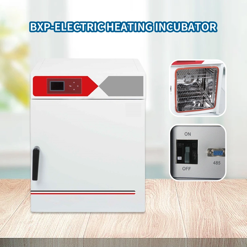 Electric Constant Temperature Incubator Best Selling Lab Instrument Lab Equipment Thermostat Bxp-65