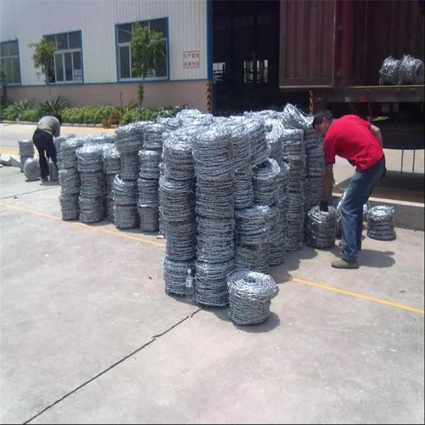 Hot Sale Galvanized or PVC Coated Barbed Wire for Fence