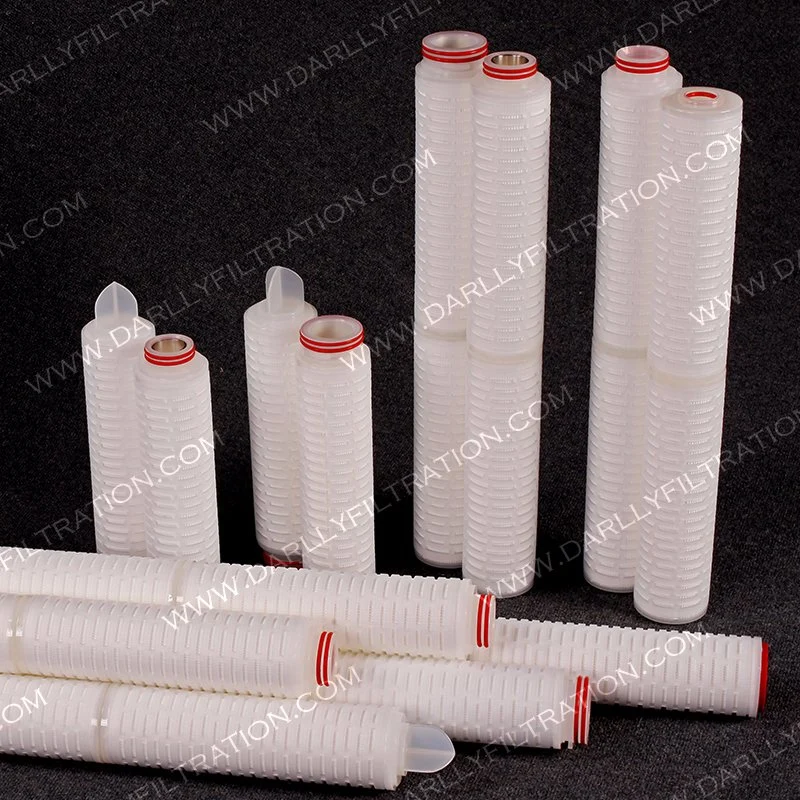 Darlly Micron Pleated Hydrophobic PTFE Filter Element for Fermentation Feed Air