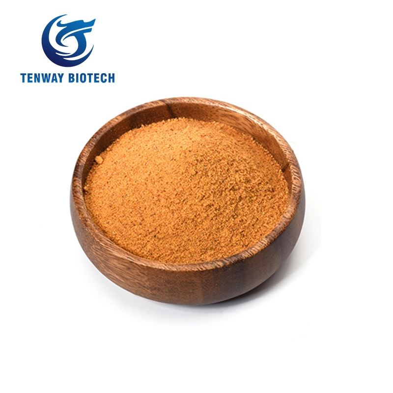 Food Ingredient Natural Colorant Tomato Powder Spray Dried for Flour Product