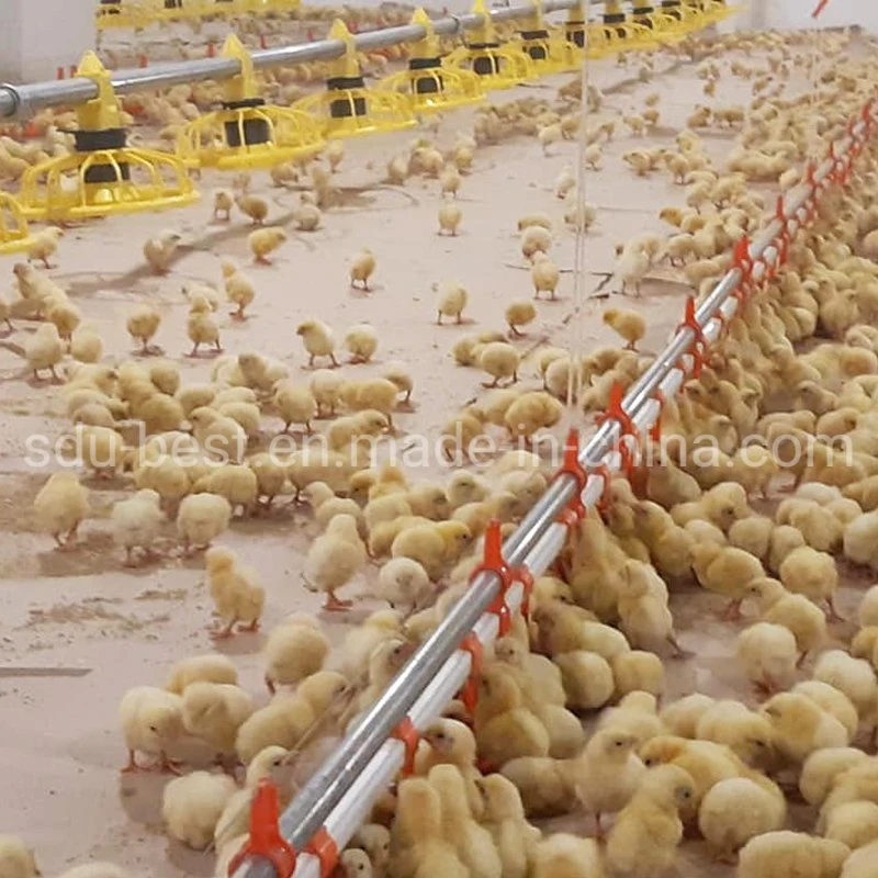 Automatic Broiler Chicken Poultry Nipple Drinker