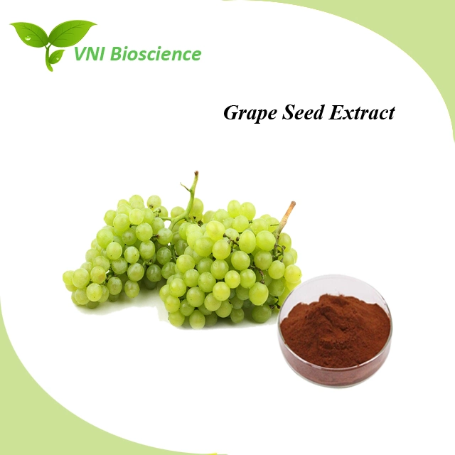 Kosher Certified 100% Natural Grape Seed Extract