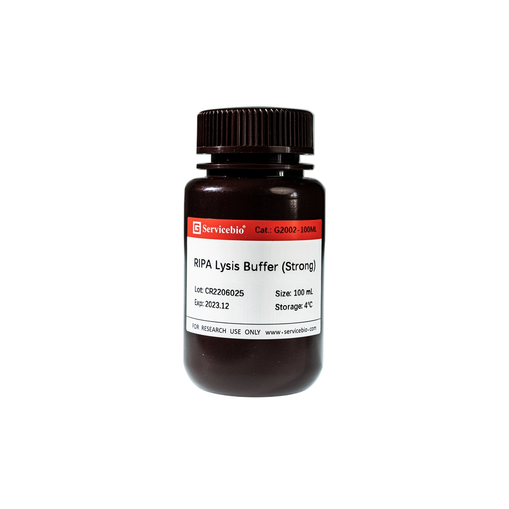 Lab Ripa Lysis Buffer Strong for Immunol Precipitation Fit Animal Plant