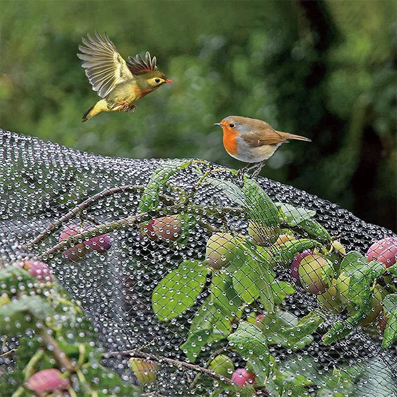 China Supplier Anti Bird Protection Net 100% Virgin HDPE White Anti Bird Net Garden Net Fruit Trees