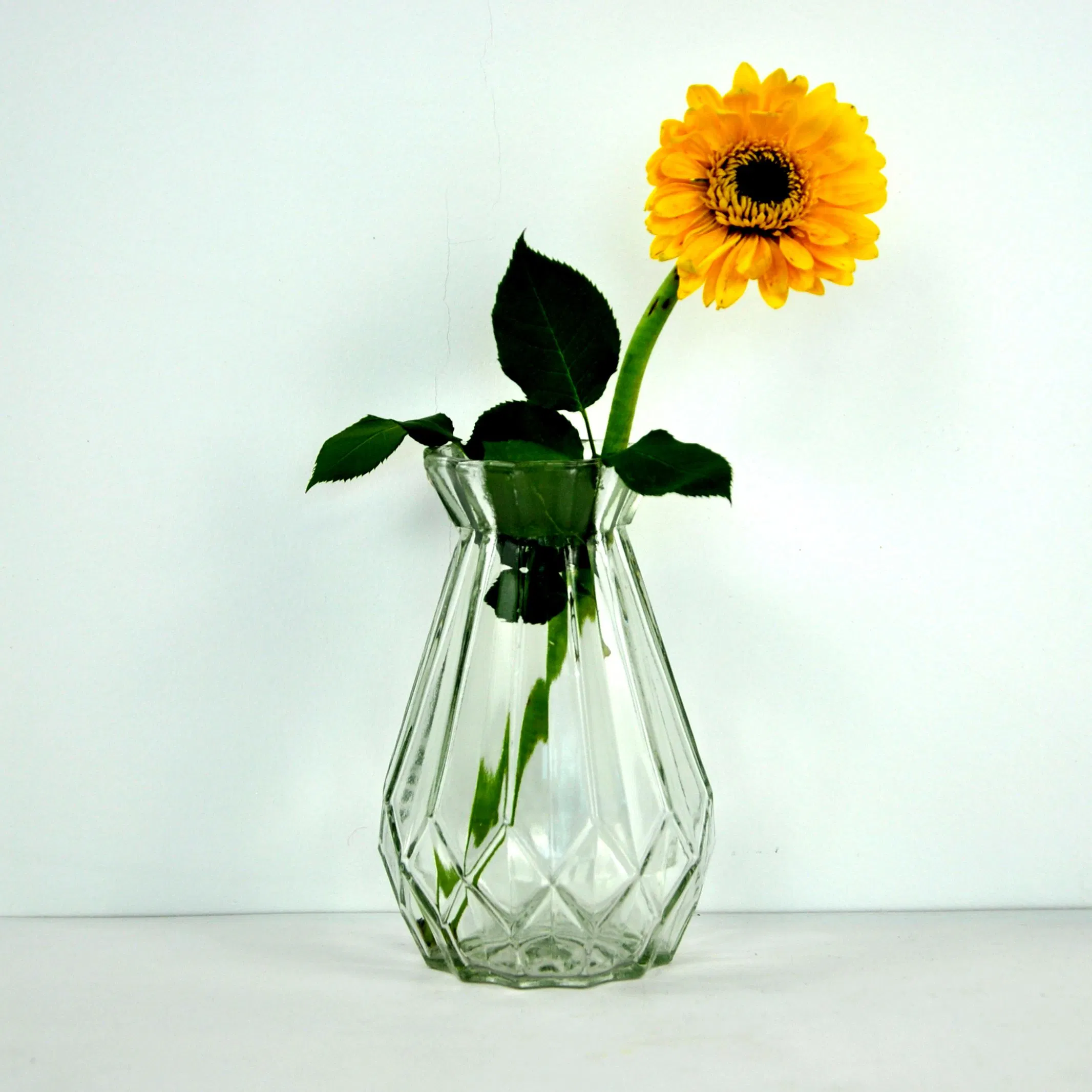 Wide Mouth Stripe Home Decoration Clear Glass Vase for Flowers