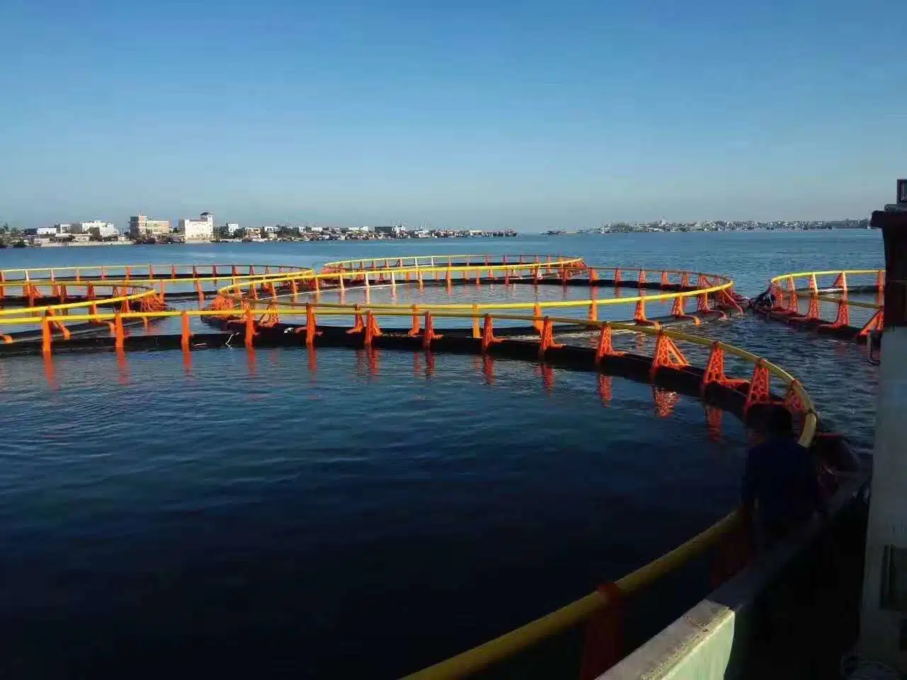 L'Aquaculture de l'environnement système des cages en filet flottant pour le poisson Farmi