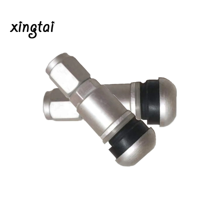 Hot Selling Metal Valve Vacuum Tire Use Nozzles Tire Valves