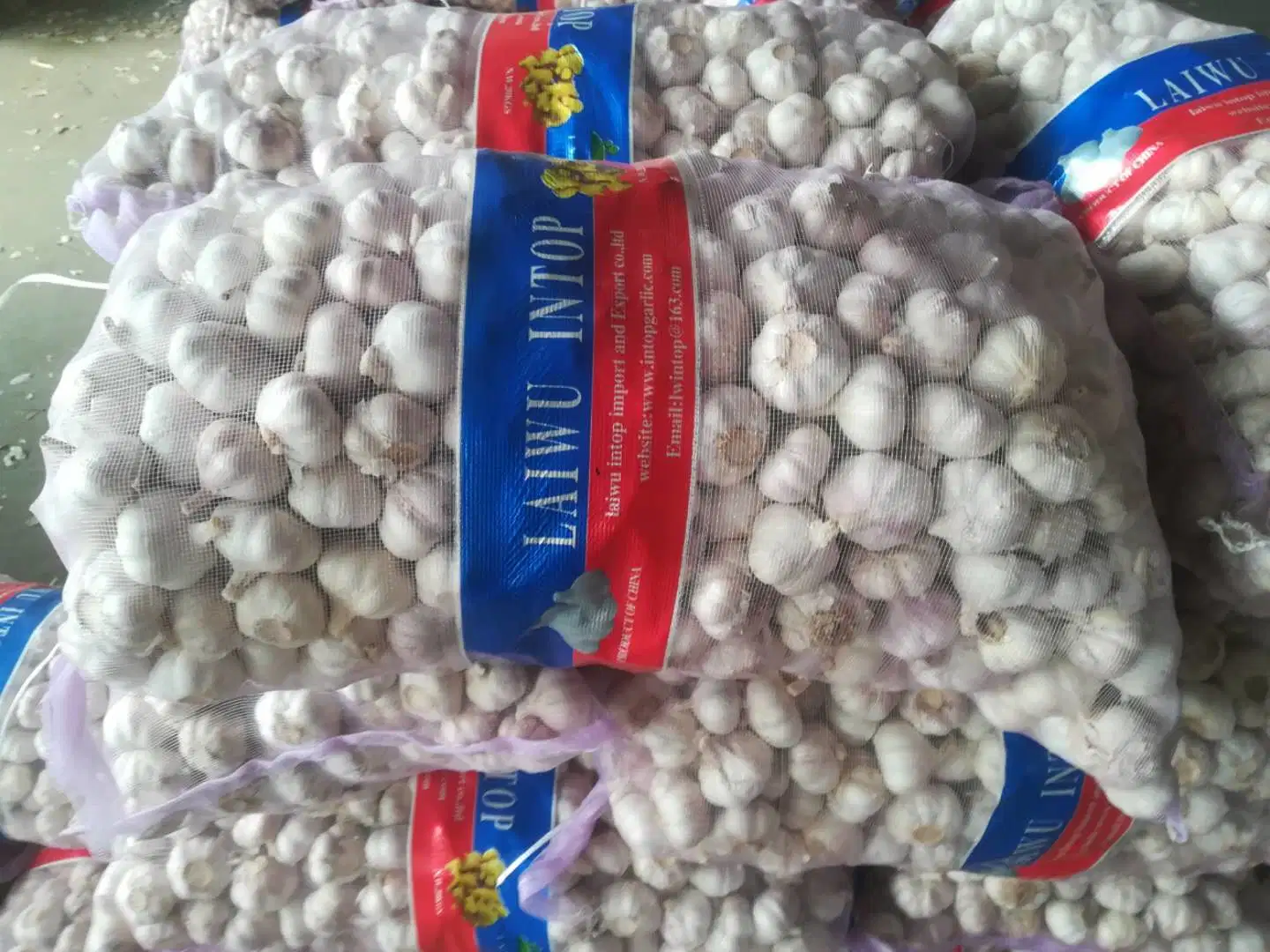 New Wholesale/Supplier Shandong Good Price Export Solo Pure Peeled Fresh Dried Normal/Super White Dehydrated Garlic