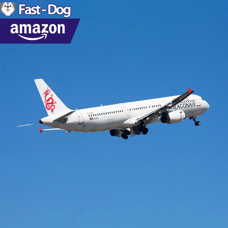 Cheap DDP Air Cargo Services Shipping Rates Fba Freight Forwarder From China to USA/Europe/UK/Canada Logistics Agent