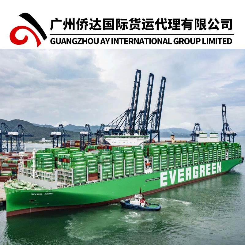 Fob Shanghai 20'/40' Container Shipping From China to Switzerland (Basel/Zurich/Bern/Geneve/Lausanne) with Guangzhou Warehouse Service