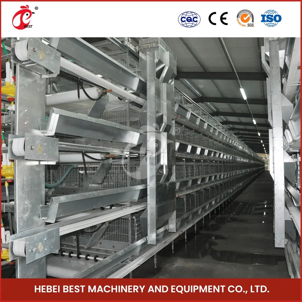 Bestchickencage H Type Breeder Cage Layer Cage China 100 Chickens Layer Coop Manufacturer ODM Custom High Productivity Egg Chicken Machine Cage System