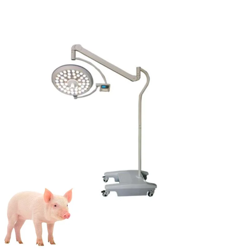 Schattenlose OP-Lampen Veterinär Medical Portable Light LED Mobile Betriebslampe Kaltlicht