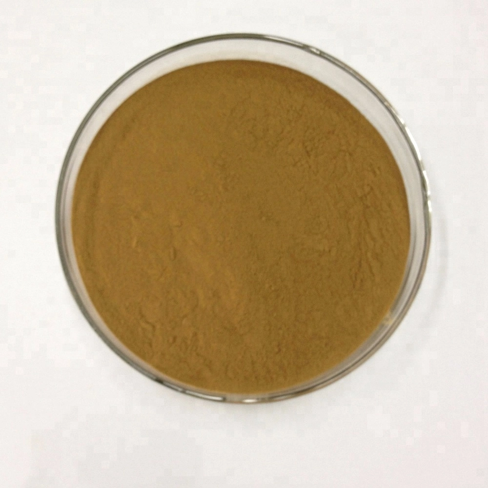 SOST Supply High quality/High cost performance  OEM Caralluma Fimbriata Powder Extract