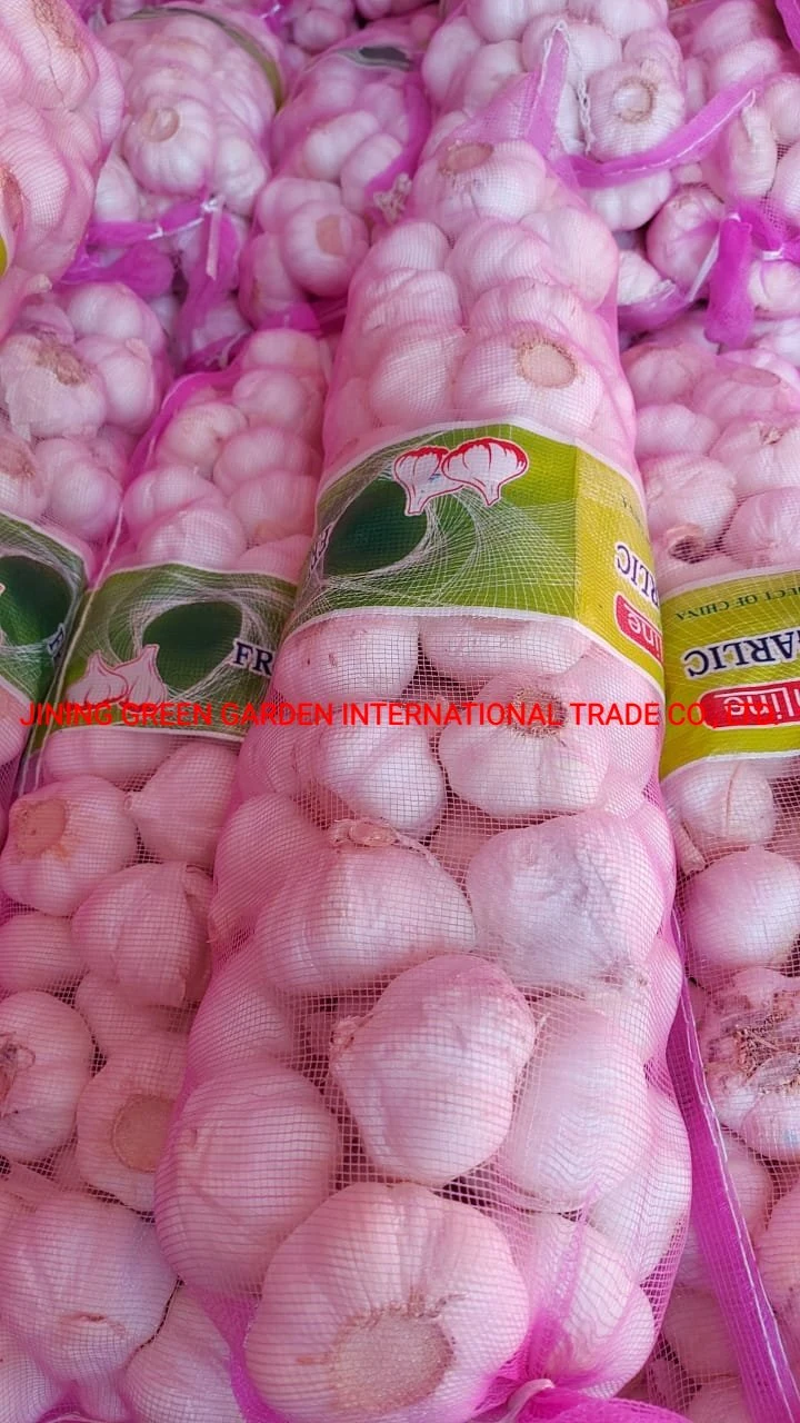 Flavorful Delicious White Dried Dehydrated Fresh Garlic Manufacturer Price