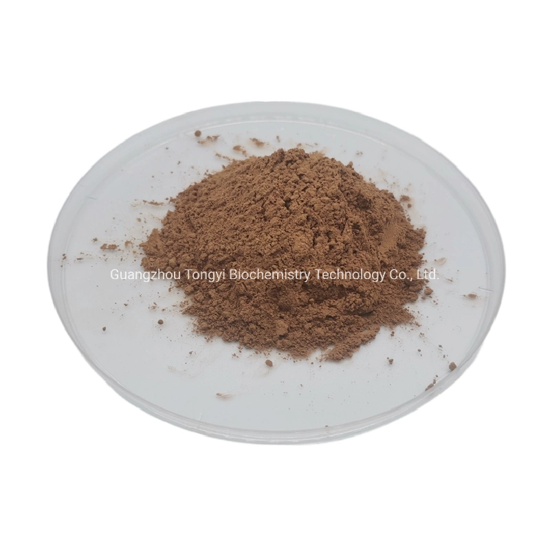 Professional Supply Bulk 98% Astragalus Membranaceus Extract CAS 84687-43-4 Astragalus Root Extract Astragaloside IV