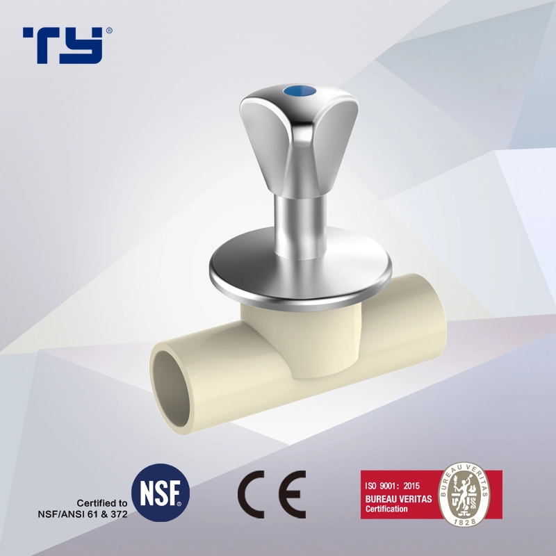 CPVC Clip with DIN Pn16 Water Supply Pressure Fitting