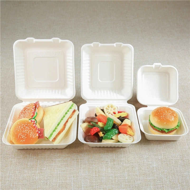 Großhandel/Lieferant umweltfreundliche PLA Grün kompostierbar Multi-Cell Split nehmen Maisstärke Bento Lunchbox