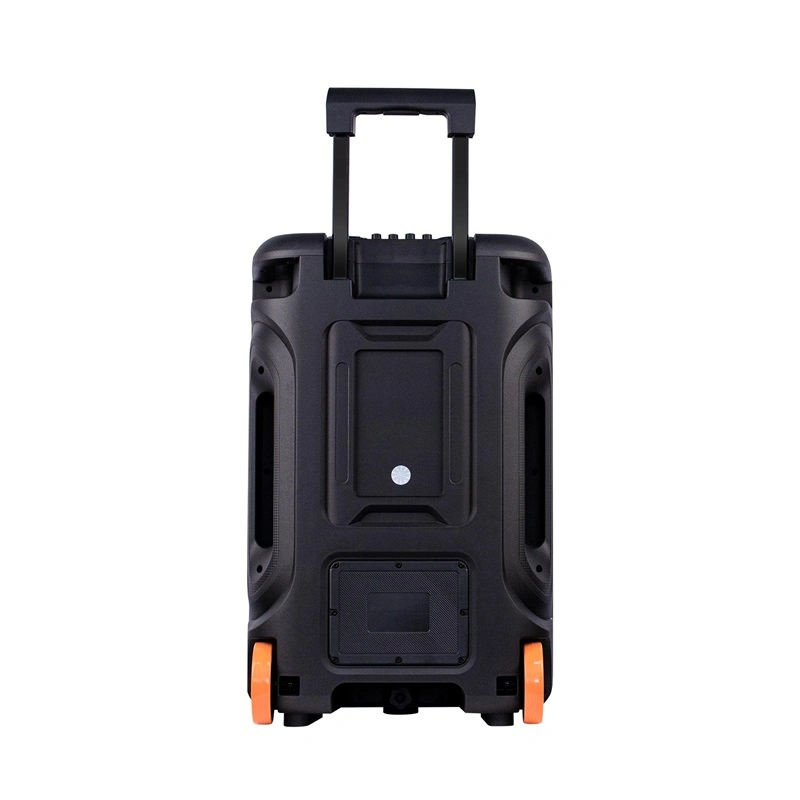 Temeisheng New Max Power 60W LED Bluetooth Audio Portable Trolley Party Speaker with Mic