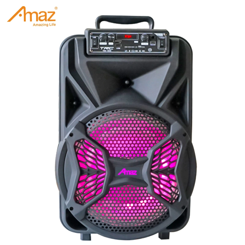 Bluetooth PA Speaker System with Wireless Microphone12 Inch Highet Portable Outdoor Karaoke Speaker