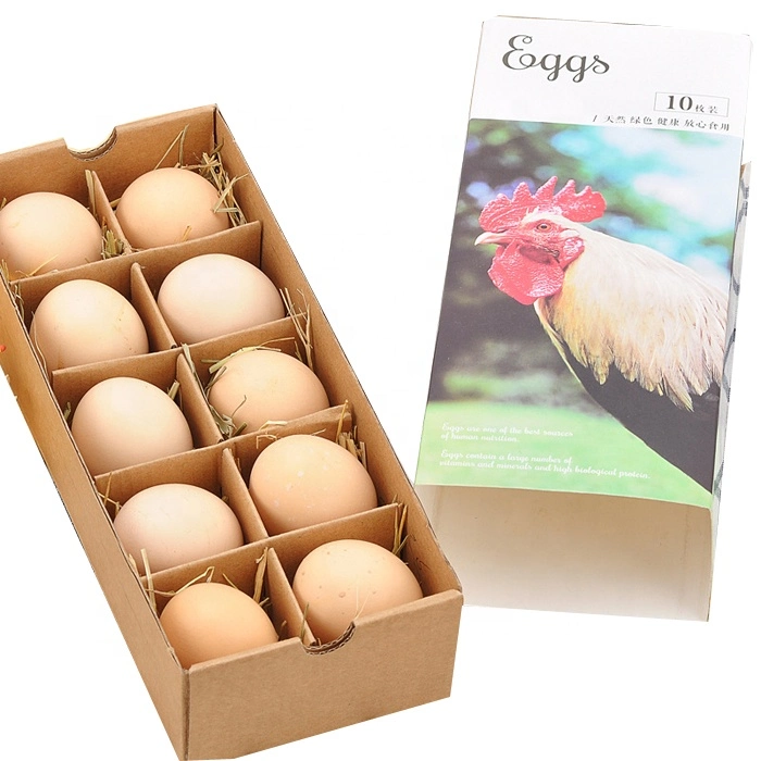 Premium Corrugated Paper Egg Packaging Box Folding Corrugated Carton Box