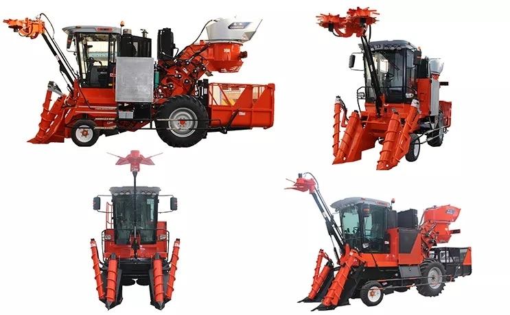 Saccharum Harvester, Saccharum Combine Harvester, Saccharum Harvesting Machine