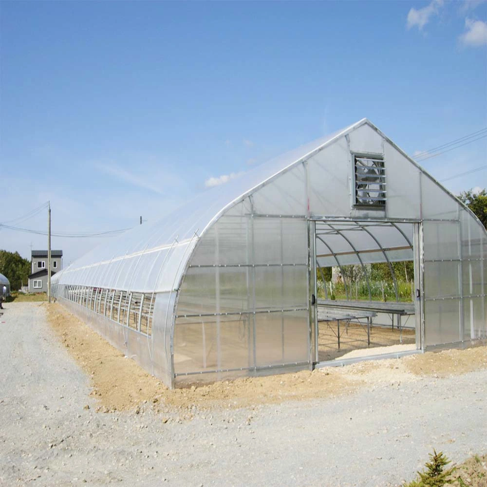 Top Quality China Single Span Polyethylene Film Greenhouse Manufacturer