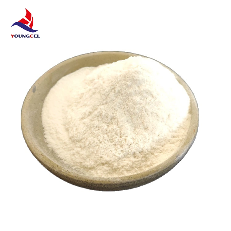Factory Construction Raw Materials Industry Grade Chemical Cellulose Ether HPMC
