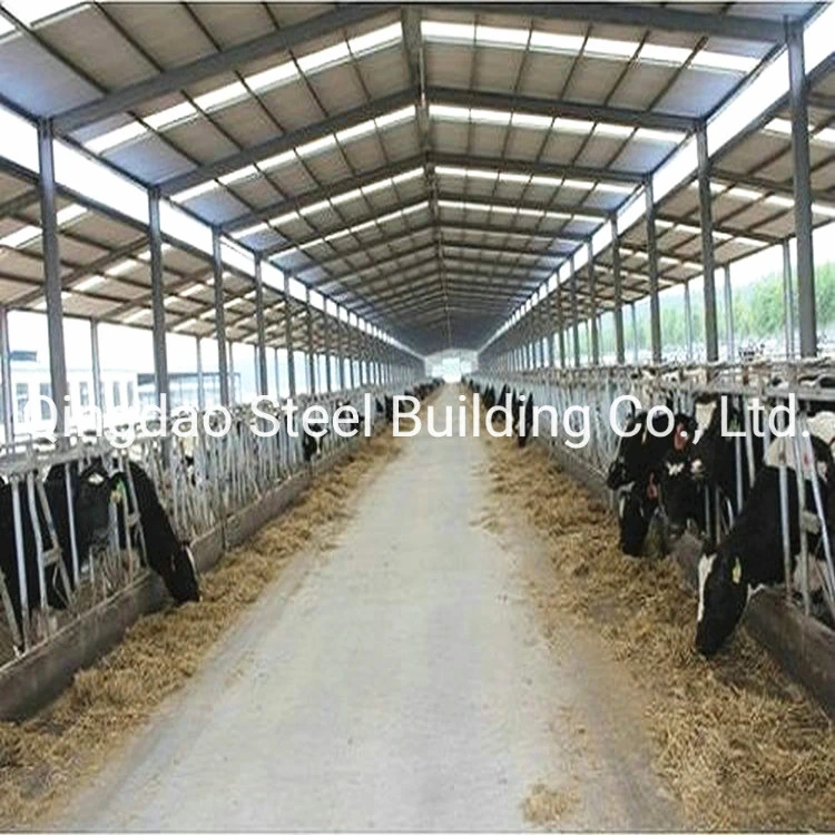 Prefabricated Farm Poultry Steel Structure Housing Is Cheap Chicken Coop/Doghouse/Cow Shed/Horse Farm