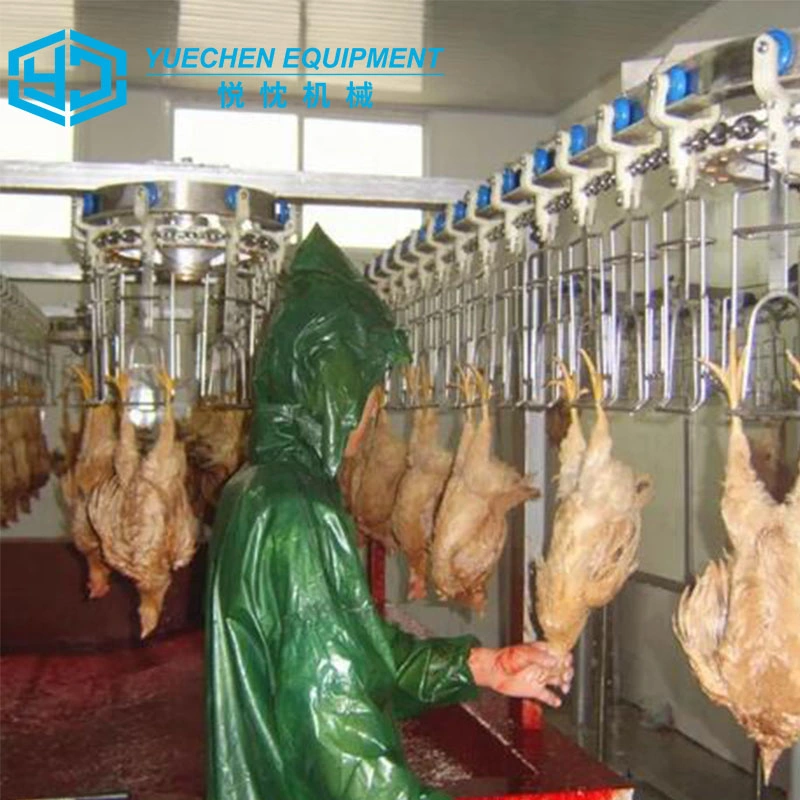 USA Standard Poultry Chicken Abattoir Equipment Broiler Duck Meat Processing Machine