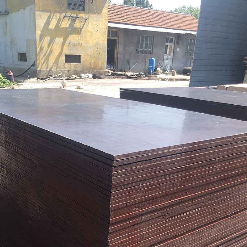 18mm Plastic Plywood/Plastic Plywood Sheet for Construction with More Than 30 Times Recycling