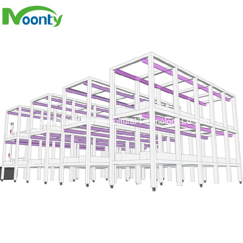 Vertical Hydroponic Shipping Container Farm for Indoor Vegetables Growing Smart Greenhouse Crops Planting Aeroponic Growing System for Medical Herbs