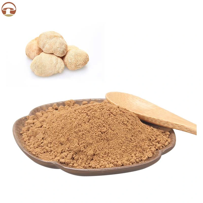 ISO Approved 30% Polysaccharide Lion's Mane Mushroom Fruiting Body Powder